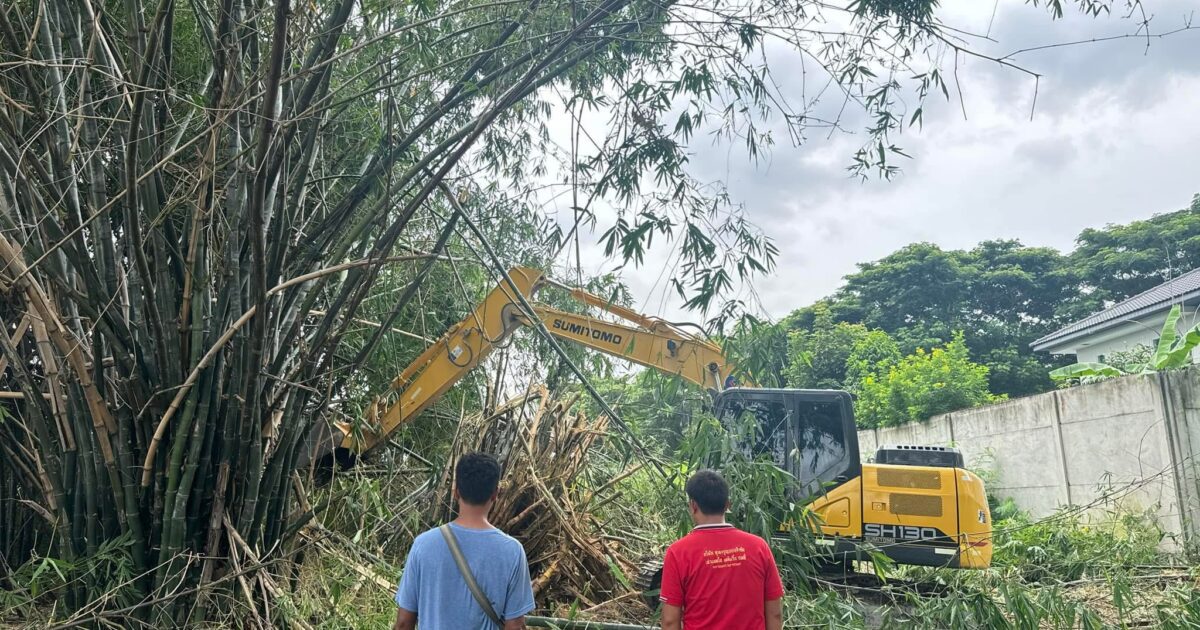 ให้เช่ารถแบคโฮใกล้ฉัน